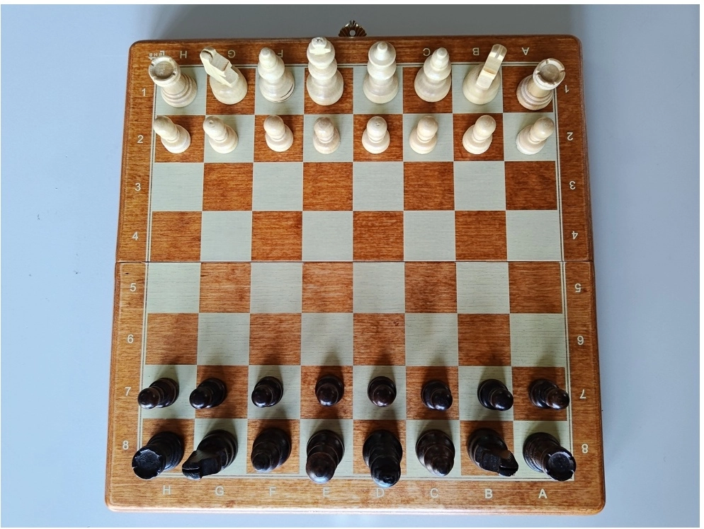 Reiseschach Bedruckt - 26.5cm (B-Qualität)