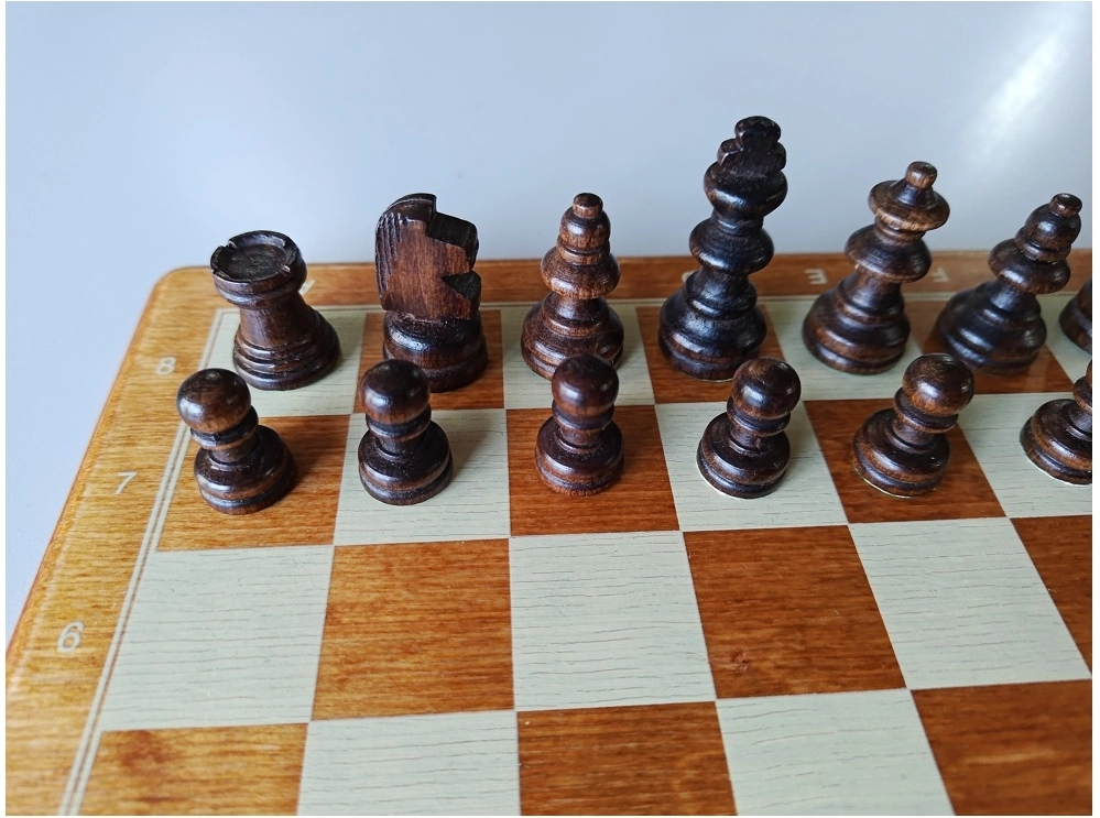 Reiseschach Bedruckt - 26.5cm (B-Qualität)