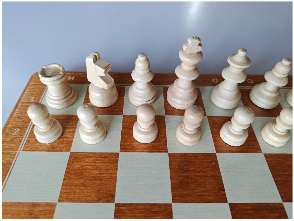 Reiseschach Bedruckt - 26.5cm (B-Qualität)