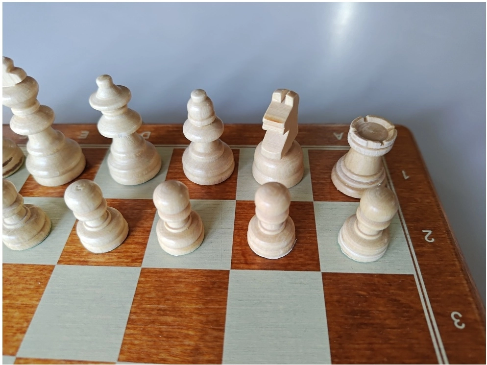 Reiseschach Bedruckt - 26.5cm (B-Qualität)