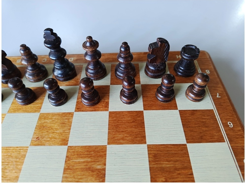 Reiseschach Bedruckt - 26.5cm (B-Qualität)