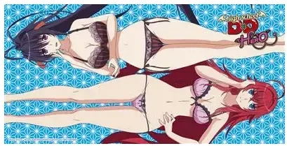 Highschool DXD Hero Beach Towel - Rias und Akeno 160x80cm