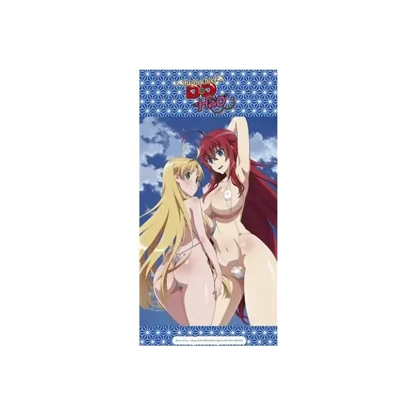 Highschool DXD Hero Beach Towel - Rias und Asia 160x80cm