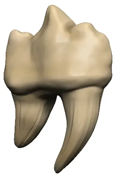 D&D Replicas of the Realms: Teeth of Dahlver-Nar Artifact