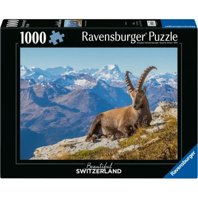 Steinbock im Toggenburg
