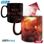 LORD OF THE RINGS - Mug Heat Change - 460 ml - You shall not pass