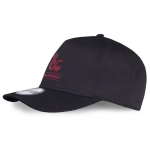 Dungeons & Dragons - Men's Adjustable Cap