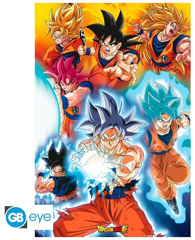 DRAGON BALL SUPER - Poster Maxi 91.5x61 - Goku's transformations