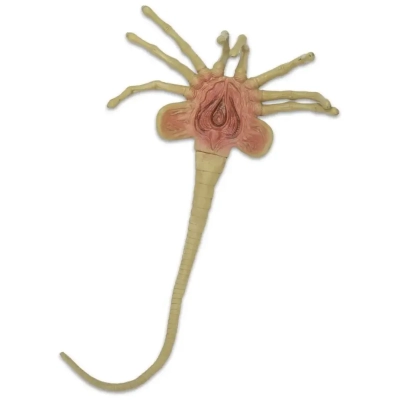 Alien – Foam Prop Replica – Life-Size Facehugger