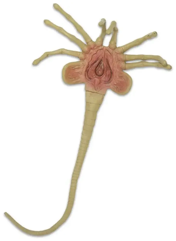 Alien – Foam Prop Replica – Life-Size Facehugger