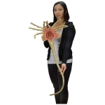 Alien – Foam Prop Replica – Life-Size Facehugger