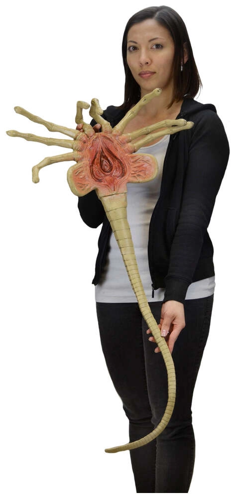 Alien – Foam Prop Replica – Life-Size Facehugger
