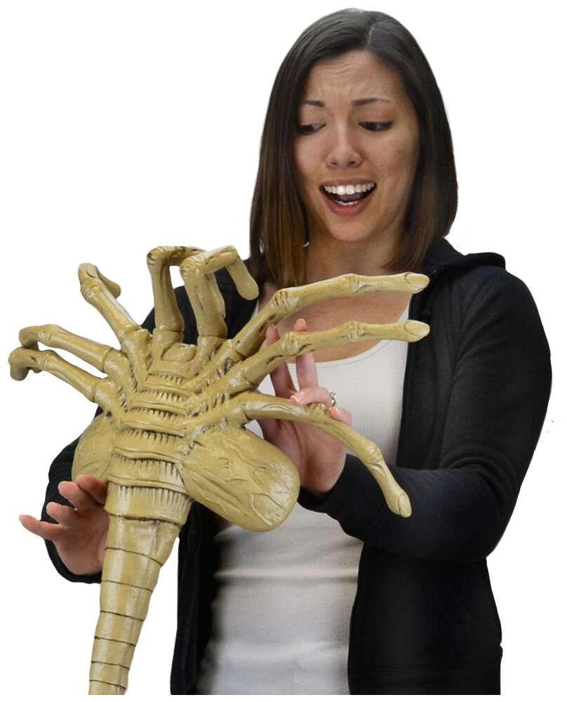 Alien – Foam Prop Replica – Life-Size Facehugger