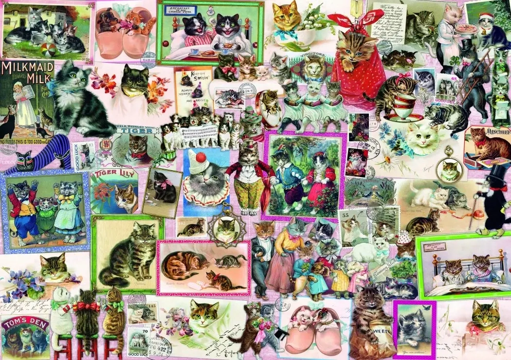 Cats