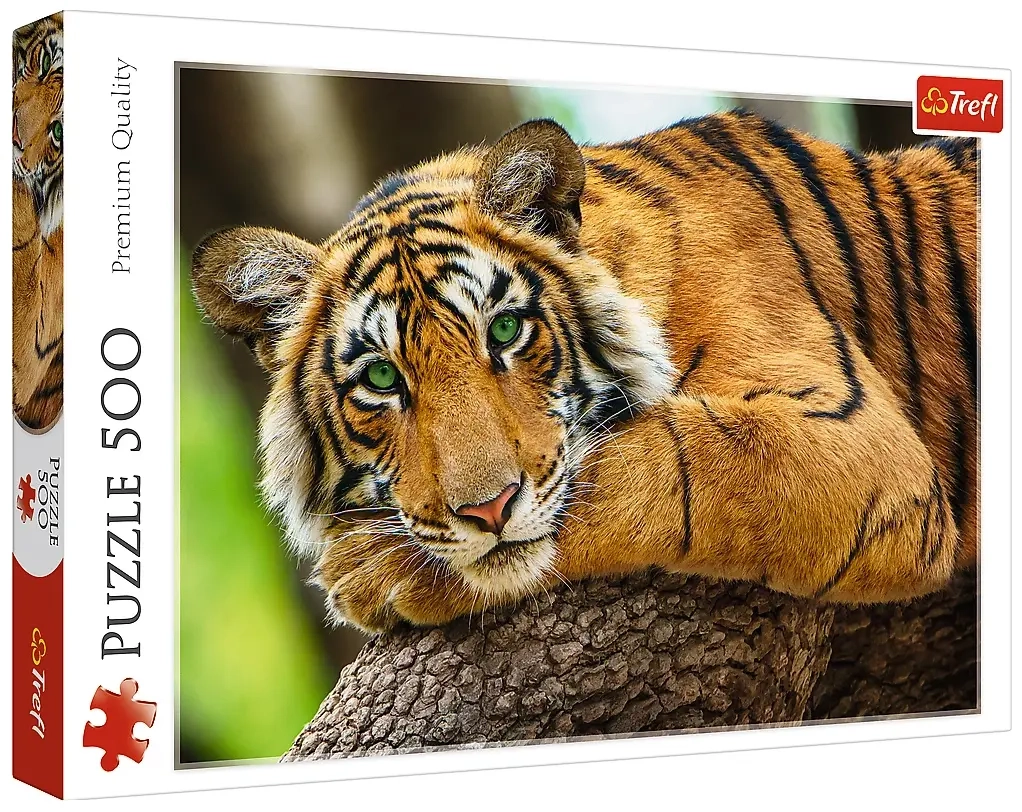 Tiger Portrait