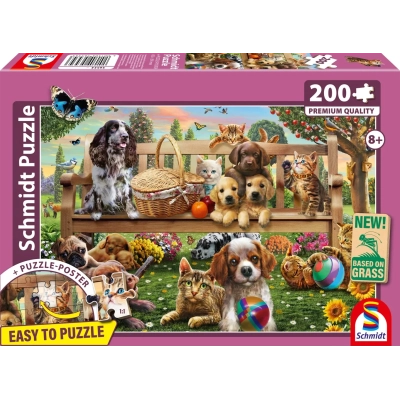 Gartenpicknick für Hund und Katze