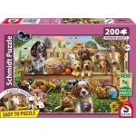 Gartenpicknick für Hund und Katze