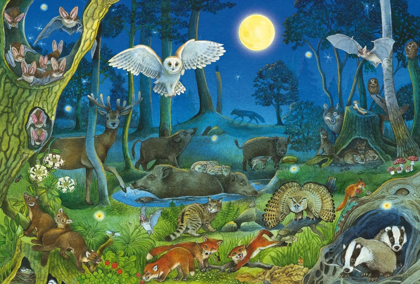 Tiere nachts im Wald