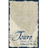 Tsuro Veterans of the Seas - Expansion