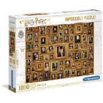 Das unmögliche Puzzle - Harry Potter