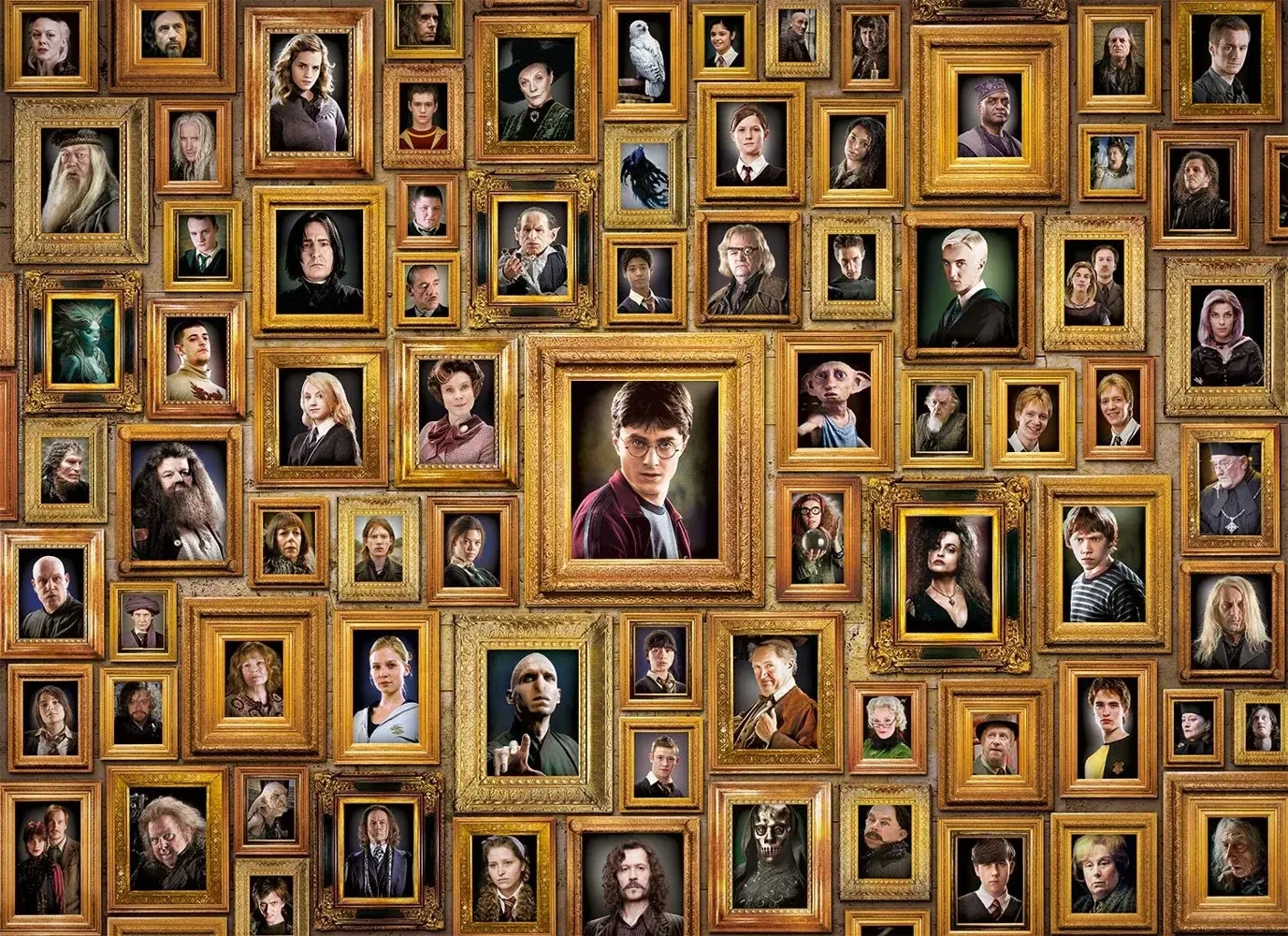 Das unmögliche Puzzle - Harry Potter