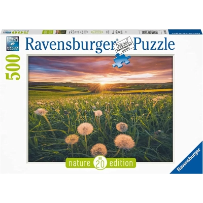 Pusteblumen im Sonnenuntergang