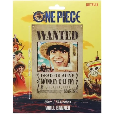 One Piece Wall Banner
