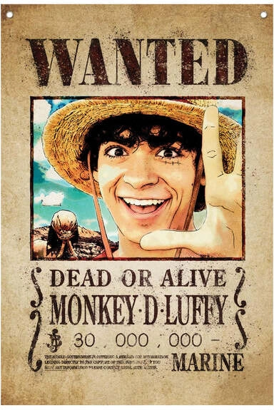 One Piece Wall Banner