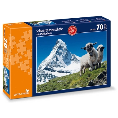 Schwarznasenschafe am Matterhorn