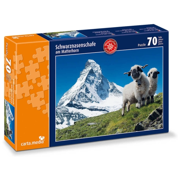 Schwarznasenschafe am Matterhorn