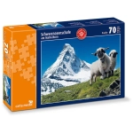 Schwarznasenschafe am Matterhorn