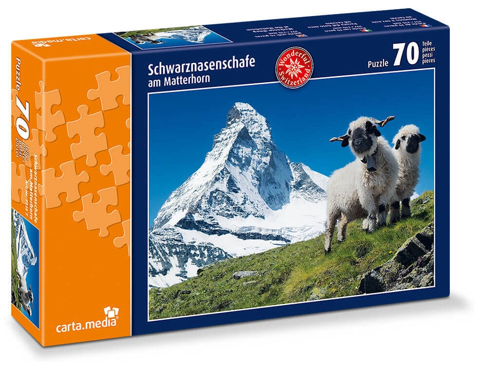Schwarznasenschafe am Matterhorn