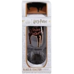 Harry Potter Leaky Cauldron Glass and Coaster Set