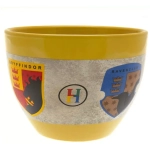 Harry Potter (House Pride Houses Crest) Huggy Mug