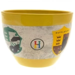 Harry Potter (House Pride Houses Crest) Huggy Mug