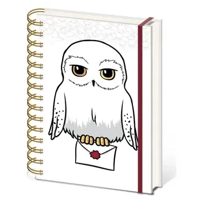 Harry Potter (Special Delivery) A5 Wiro Notebook