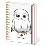 Harry Potter (Special Delivery) A5 Wiro Notebook
