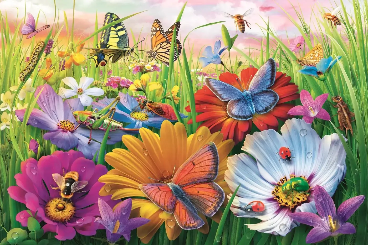 Insekten auf der Wiese