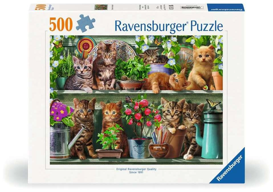 Katzen im Regal
