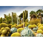 The Huntington Desert Garden - California, USA