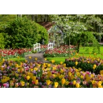 Keukenhof Gardens - Niederlande