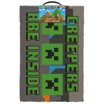 Minecraft (Creepers Need Hugs) Coir Doormat 40X60
