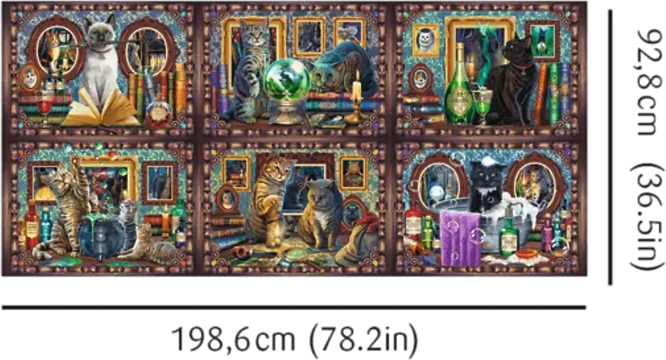 Schnurrbart Wunder Katzen - Lisa Parker
