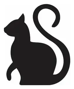 Pin Kitty Clacks