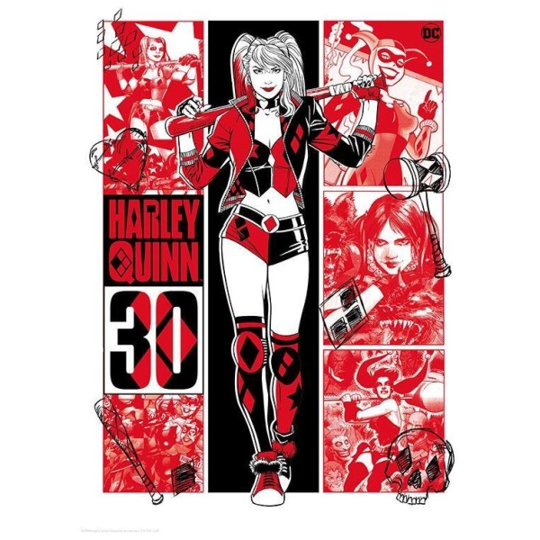 Harley Quinn Limited edition 30th anniversary art print