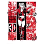 Harley Quinn Limited edition 30th anniversary art print