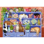 Katzen im Regal - Cats on the Shelf