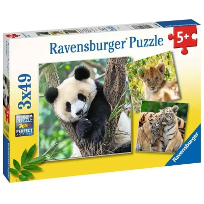 Panda, Tiger und Löwe