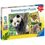 Panda, Tiger und Löwe