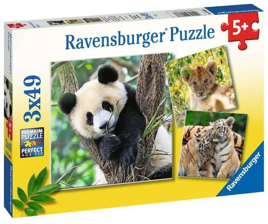 Panda, Tiger und Löwe